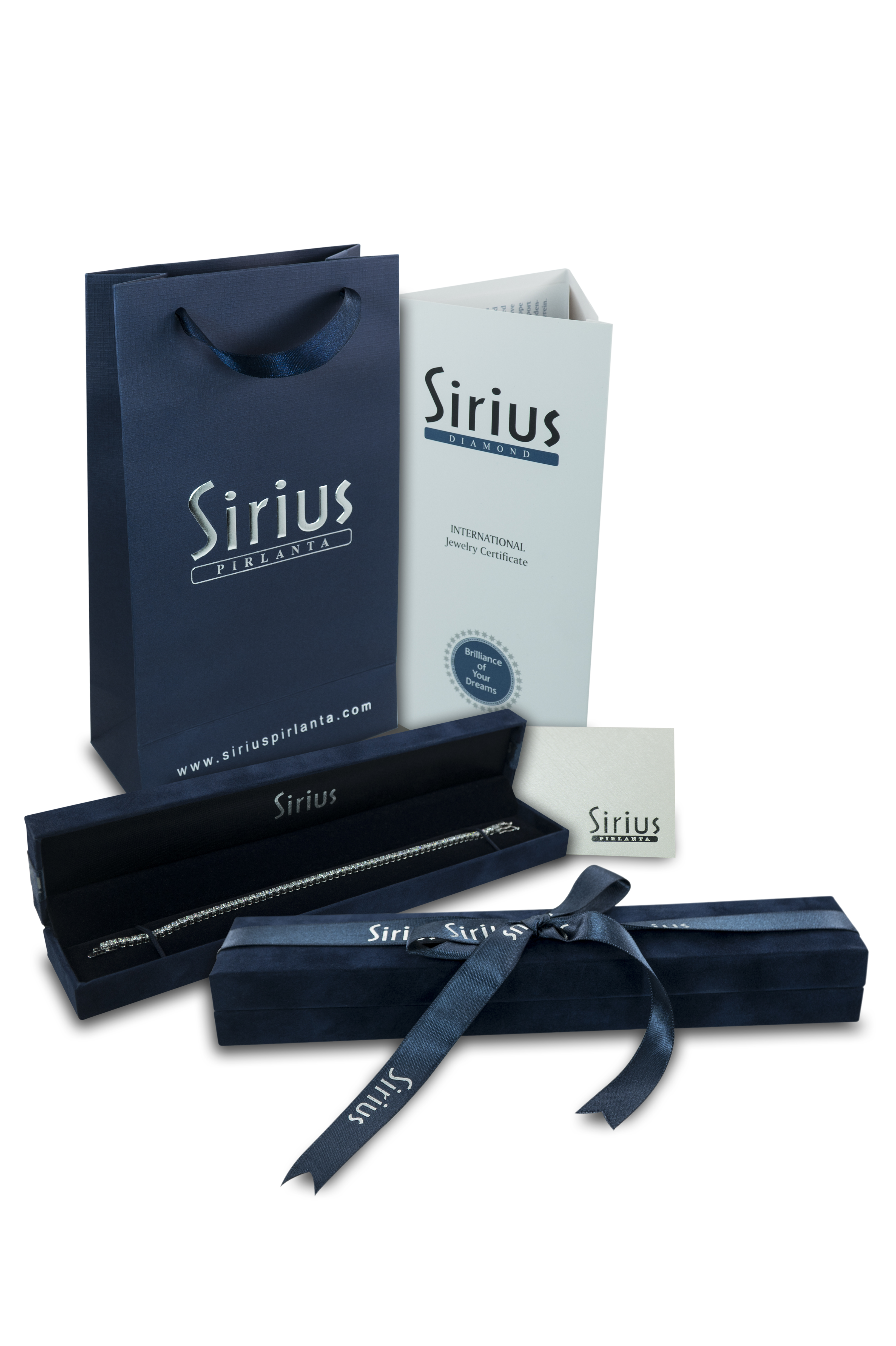 Büyük Bileklik Kutusu